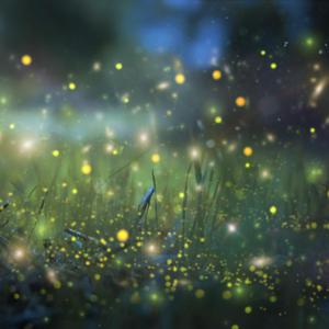 久草手机福利在线观看
